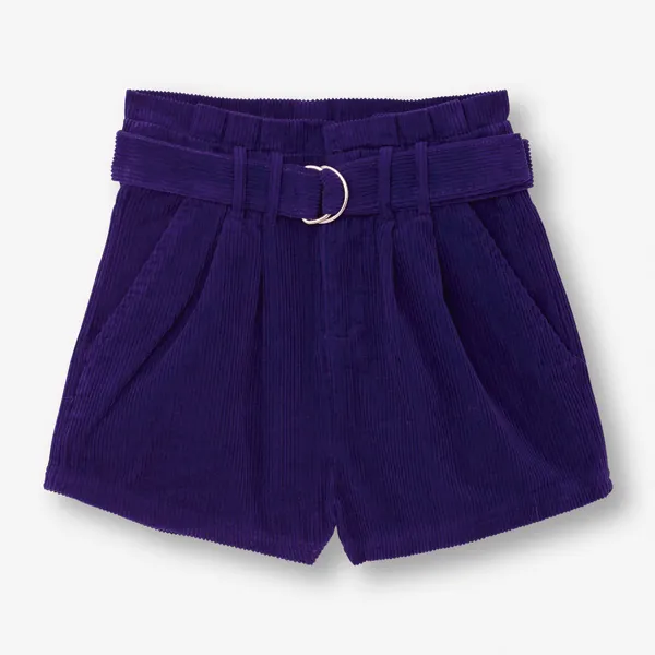 Velvet High Waist Shorts, Purple, 36