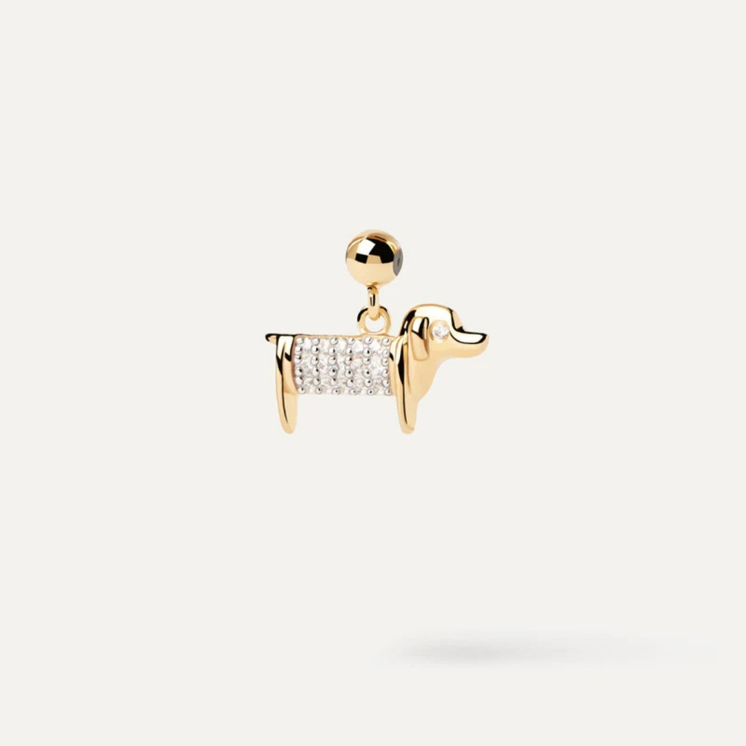CH Dog Charm U